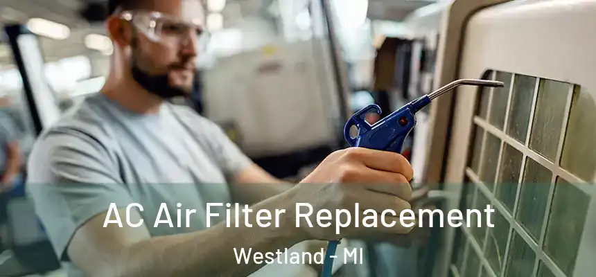 AC Air Filter Replacement Westland - MI