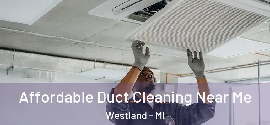 Affordable Duct Cleaning Near Me Westland - MI