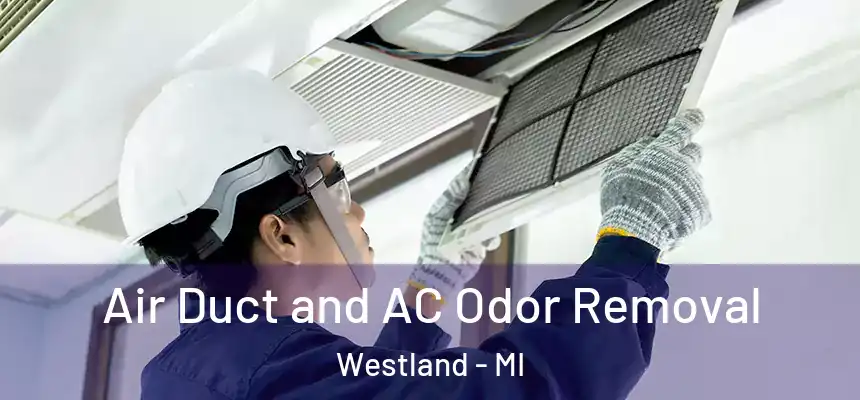 Air Duct and AC Odor Removal Westland - MI