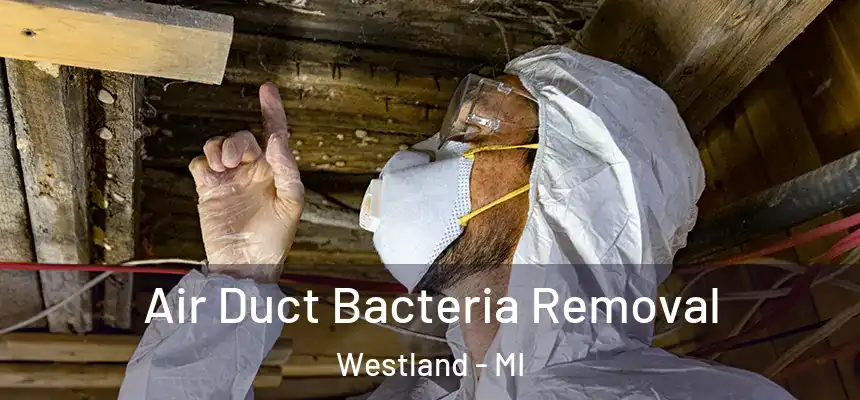 Air Duct Bacteria Removal Westland - MI