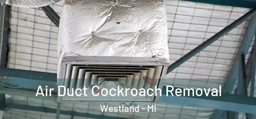 Air Duct Cockroach Removal Westland - MI