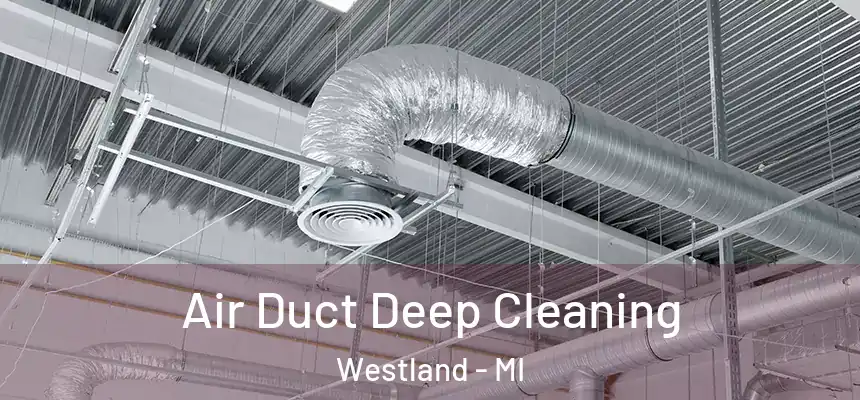 Air Duct Deep Cleaning Westland - MI