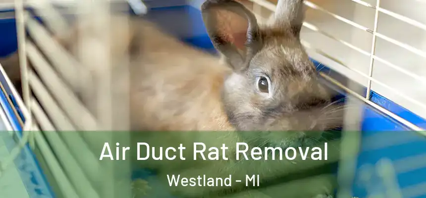Air Duct Rat Removal Westland - MI