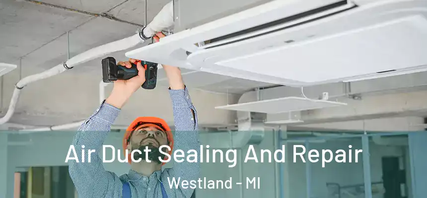 Air Duct Sealing And Repair Westland - MI