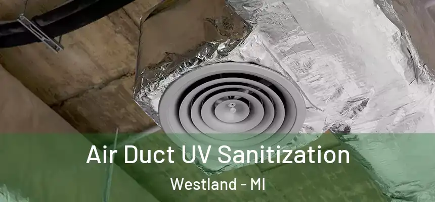 Air Duct UV Sanitization Westland - MI