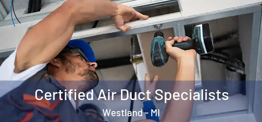 Certified Air Duct Specialists Westland - MI