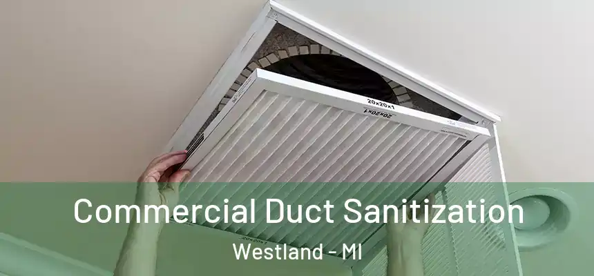Commercial Duct Sanitization Westland - MI