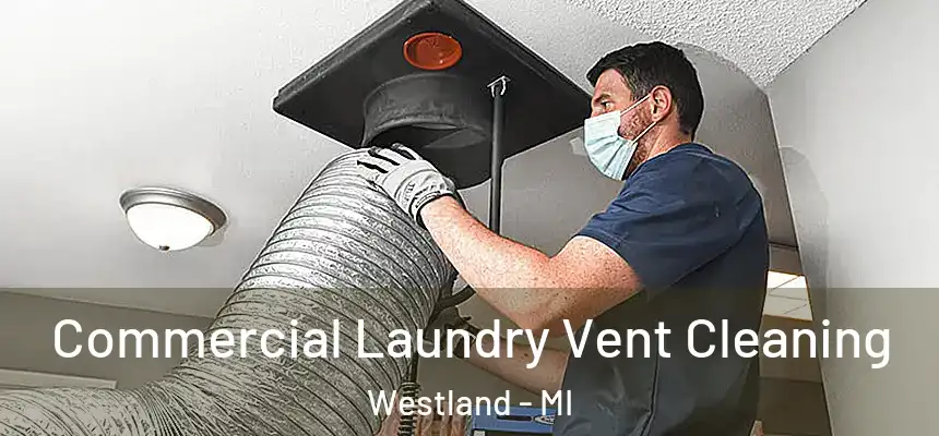 Commercial Laundry Vent Cleaning Westland - MI