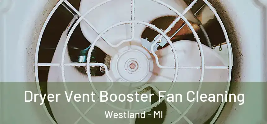 Dryer Vent Booster Fan Cleaning Westland - MI