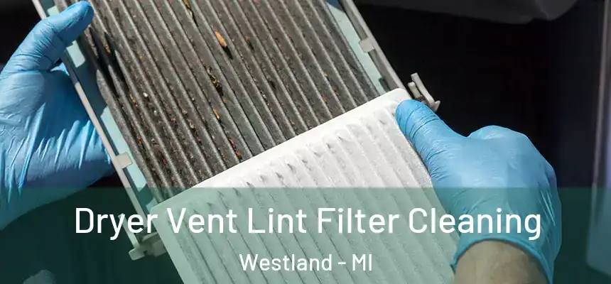 Dryer Vent Lint Filter Cleaning Westland - MI