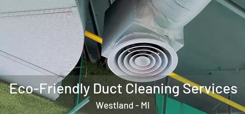 Eco-Friendly Duct Cleaning Services Westland - MI