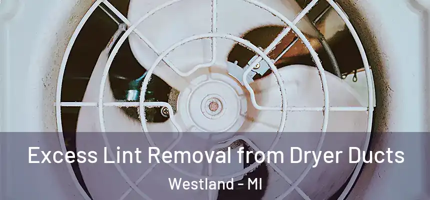 Excess Lint Removal from Dryer Ducts Westland - MI