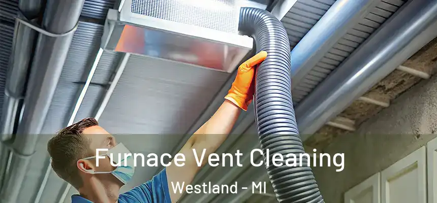 Furnace Vent Cleaning Westland - MI