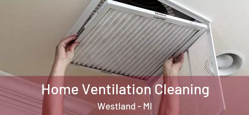 Home Ventilation Cleaning Westland - MI
