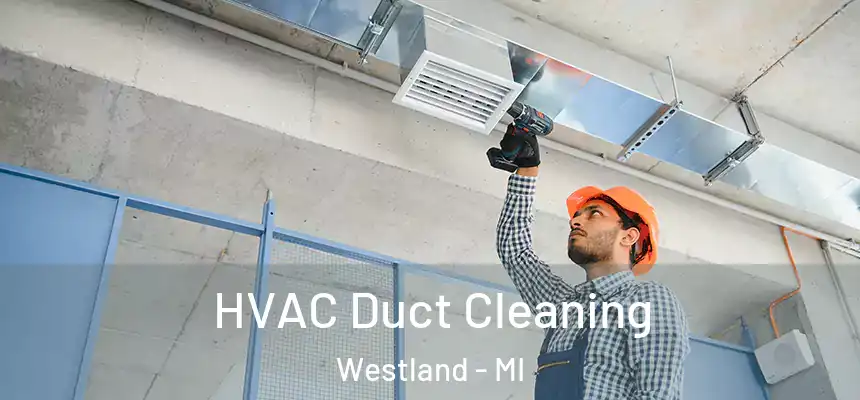 HVAC Duct Cleaning Westland - MI