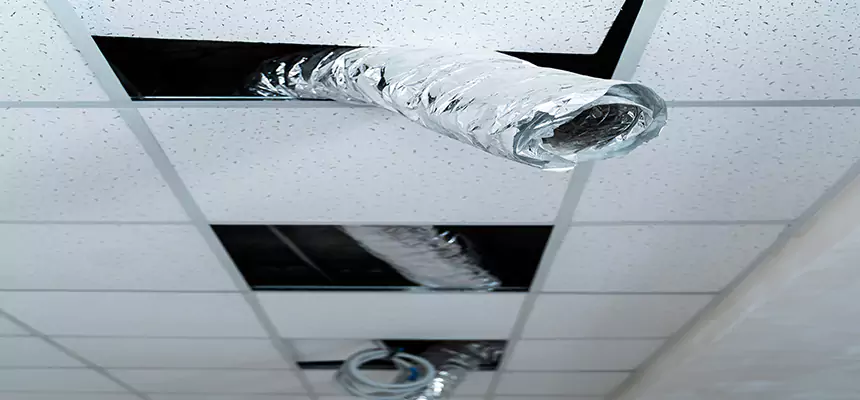 Affordable HVAC Sanitizing After Pest Removal in Westland