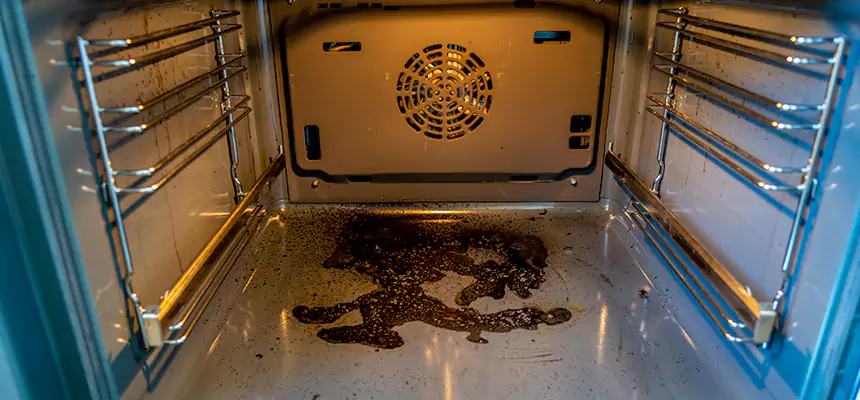 Our Dryer Vent Mold Cleaning Services in Westland, MI