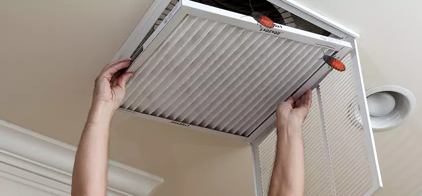 Our Insect Removal from Air Ducts Services in Westland, MI