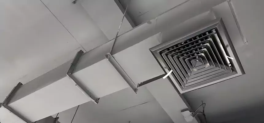 Our Rodent Droppings In Vents Services in Westland, MI