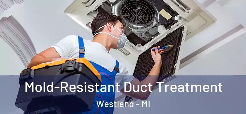 Mold-Resistant Duct Treatment Westland - MI