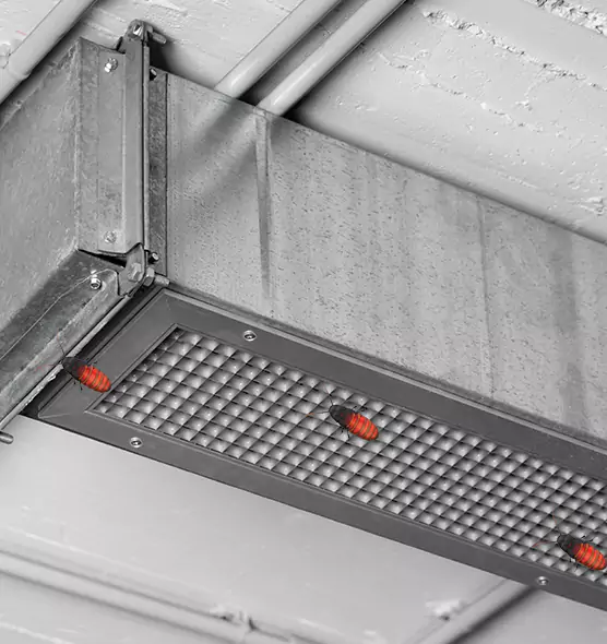 About Air Duct Cockroach Removal in Westland, MI