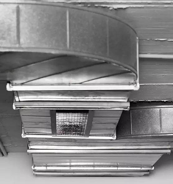 Professional Air Duct Pet Hair Removal in Westland, MI