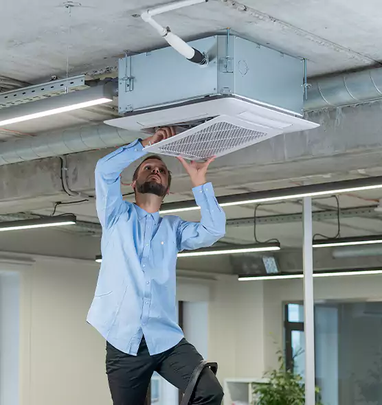 Advanced Rodent Droppings In Vents in Westland, MI