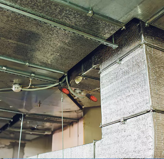 Why Homeowners & Businesses Trust Us in Westland, MI?