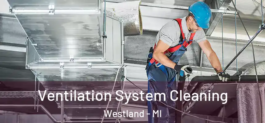 Ventilation System Cleaning Westland - MI