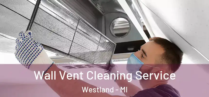 Wall Vent Cleaning Service Westland - MI